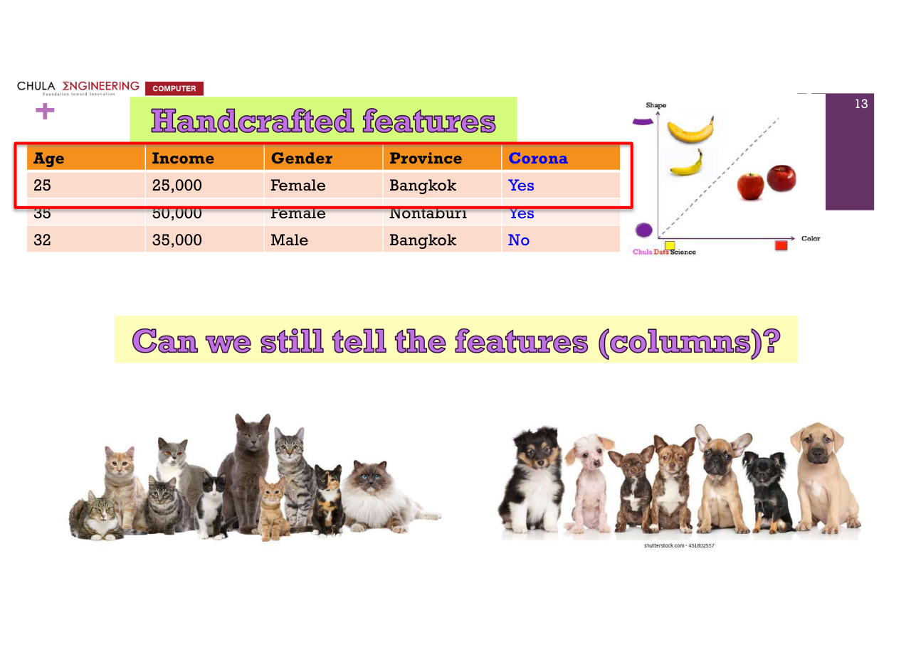 สไลด์ DL 13: ตารางตัวอย่าง Age, Income, Gender, Province, Corona